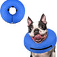 Supet Inflatable Dog Cone Collar Alternative After Surgery, Doggie Neck Donut Collar Recovery ECollar for Post Surgery, Soft Dog Cone for Small Medium Puppies Cats