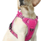 rabbitgoo Dog Harness Medium Sized No Pull, Tactical Service Pet Vest with Molle and Control Handle, Adjustable and Reflective Military Harness for Easy Walking and Training, Rose Red, M