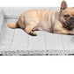 Veehoo Cooling Elevated Dog Bed Add Removable Deluxe Rose Plush Bolster Cushion Mat, 35" x 22" Washable Dog Couch Bed, Raised Pet Cot with Breathable Teslin Mesh, No-Slip Feet, Grey, CWC2439B