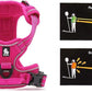 Truelove No Pull Dog Harness with Easy Control Handle and 2 Leash Attachments,Reflective Adjustable Pet Vest