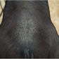 Weaver Leather Swine Conditioner and Shine