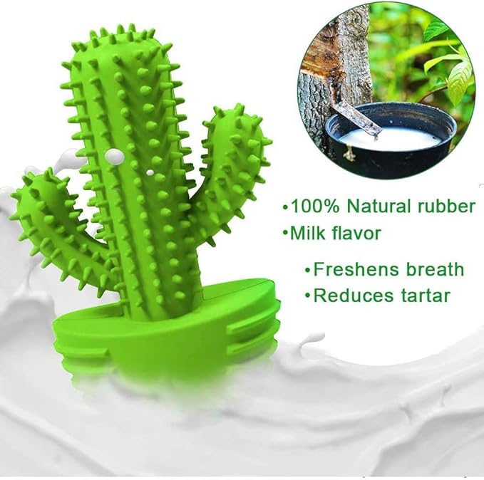Dog Chew Toys, Toothbrush Stick Teeth Cleaning Brush Dental for Small Medium Large Dog, Rubber Squeaky Toys for Aggressive Chewers Cactus Tough Toys