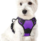 rabbitgoo Dog Harness No Pull with 2 Leash Clips, Adjustable Soft Padded, Reflective Oxford No Choke Pet Vest with Easy Control Handle for Puppy, Purple,XS