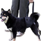 Dog Lift Harness for Dogs with Disabled Arthritis and Weak Back Legs, humanized Design with Comfortable Materials, Adjustable Back Legs and Straps, Suitable for Helping Dogs to Recover and Walk. (S)
