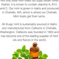 Chehalis Mint Dog Treats – Healthy, Crunchy, Vegan Biscuits with Whole & Real Ingredients – All Natural & USA‐Baked, (7 Ounce, Pack of 3)