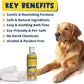 Muddy Mat® Wizz Pet Shampoo for Dogs & Cats - Aloe Vera & Oatmeal Dog Shampoo for Itchy Skin Relief, Smelly Dogs & Sensitive Coats - Natural, Alcohol & Paraben Free - Puppy Shampoo, 17 oz