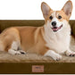 Dog Bed Medium Size Dog-Orthopedic Waterproof Bed for Dogs,Foam Couch Sofa with Washable Removable Cover & Non-Slip Bottom-Brown