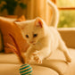 Ball for cat with Feathers - Balls for Cats – Natural Toy for Indoor Cats – Eco-Friendly, Durable, Interactive Play Balls for Kittens – Pet-Safe Chew & Scratch Toys (Sky Blue)