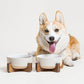 Ceramic Dog Bowl Set, 4 Cups Food and Water Bowl for Medium Small Dogs, Cute Pet Dishes with Wood Stand, Rhombus+Wave Design (Set of 2)