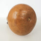 Ipu: professional concert performance level Hawaiian gourd - small size - handmade natural materials - 20 to 22.75inches