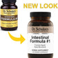Dr. Schulze's Intestinal Formula #1 Colon Bowel Cleanse Laxative Capsules, 90 Count (90 Capsules) - Packaging May Vary