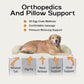 Small Dog Bed Waterproof Orthopedic Dog Beds for Medium Sized Dogs Comfy Pet Cat Bed with Sides, Washable Removable Cover