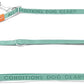 HOWGO 8-in-1 Multifunctional Hands Free Dog Training Leash with Padded Handle,8.5 FT Nylon Adjustable Length,Lightweight Aviation Aluminum,Crossbody Waist Leash for Puppy Medium Large Dogs (MintGreen)