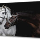 LK0650-Jiuqinghua Wall Art Canvas Print Picture White and Brown Horses 1 Panel Wild Animal Painting Artwork for Living Room Bedroom Office Home Wall Decor Stretched and Framed Ready to Hang