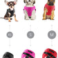 Comfort Fit Dog Harness No Pull No Escape Harness Adjustable Buckles Soft Padded Reflective Choke Step in Dog Vest with Easy Control Handle for Small Medium Large Dogs & Puppies