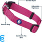Blueberry Pet X-Small Dog Collar | Girl Dog Collars | Female Dog Collar XS | Quick Release Dog Collar | Very Berry Nylon Dog Collar for Girl, Collar for Small Dogs