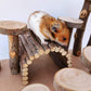 Wooden Hamster Bridge, Small Animals Climbing Ladder Activity Set Platform Ramps Playground Toys for Mouse Dwarf Hamster Gerbil Rat Sugar Glider Syrian Hamster