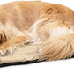 K9 Ballistics Tough Ripstop Dog Crate Pad - Durable & Machine Washable with Non-Skid Bottom and 120-Day Warranty, Fits 42" Wire Crates - Large, Sandstone