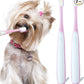 Small Dog Toothbrush, Cat & Puppy Tooth Brushing Kit, Ultra Soft & Mini Head Teeth Brush for Kitten & Tiny Pet, Doggy Toothbrushes Deep Dental Cleaning, 2 PCS - Pink Color