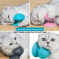 3-Pack Cat Scratcher cat self groomer for Loose Fur Removal, Catnip Massager, Massage Combs for Short & Long Fur Cats and Kittens
