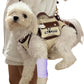 Dog Lift Harness Dog Carrier VES Harness Adjustable Leash with Small Puppy Treat Bag,Fits Most Cars,XS