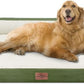 Comfort Expression Orthopedic Bolster Dog Beds Extra Large, XL Dog Beds Waterproof Dogs Beds, Washable Dogs Beds Sofa with Removable Cover & Non-Slip Bottom(X-Large,Light Green)