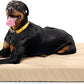 K9 Ballistics Tough Ripstop Orthopedic Rectangle Dog Bed Removable Washable Cover, Solid Orthopedic Foam for Size XL X-Large Dogs 54"x38", Sandstone