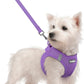 rabbitgoo Dog Harness Small Sized and Leash Set, Step in Soft Light Puppy Vest, Breathable Mesh Pet Harness, Reflective for Safe Outdoor Walking, Purple S