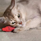 YEOWWW! Catnip Crayon, 3 Count