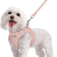 rabbitgoo Dog Harness Small Sized and Leash Set, Step in Soft Light Puppy Vest, Breathable Mesh Pet Harness, Reflective for Safe Outdoor Walking, Pink M