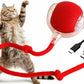 Interactive Pet Chase Toy - Rechargeable, Motion Ball, Self-Moving Kitten Toy for Indoor Interactive Playing, Smart Cat Rolling Ball