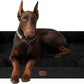 EHEYCIGA Orthopedic XL Dog Beds, Waterproof Memory Foam Dog Bed for Extra Large Dogs, Non-Slip Bottom and Egg-Crate Foam Big Pet Couch Bed with Washable Removable Cover, Black