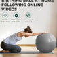 Trideer Yoga Ball – Anti-Burst Exercise Ball for Pregnancy, Office, Birthing, Stretching & Core Workout – Home Gym & Therapy
