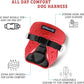 Comfort Fit Dog Harness No Pull No Escape Harness Adjustable Buckles Soft Padded Reflective Choke Step in Dog Vest with Easy Control Handle for Small Medium Large Dogs & Puppies