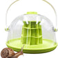 Round Transparent Snail Terrarium Kit, Portable Plastic Habitat with Air Vents & Removable Base, Breeding Box for Snails, Beetles, Spiders, Ladybugs & Small Insects