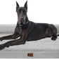 XXL Dog Bed with Bolsters, Orthopedic Dog Bed for Extra Large Dogs, Waterproof Pet Couch Beds XLarge, Big Pet Sofa with Removable Washable Cover, Nonskid Bottom (XX-Large,Grey White)