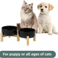 Ceramic Raised Double Bowls Set with Stand, 2 Heights Elevated, Food & Water Bowls for Small Breed Dogs, Cats, Kitty, Weighted Dog Dishes, Pet Bowls(5.1'',13.5oz, Black)