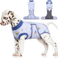 FUAMEY Recovery Suit for Dogs After Surgery,Soft Breathable Dog Bodysuit E-Collar & Cone Alternative Surgical Suit,Male Female Dog Neuter Spay Suits Anti Licking Wounds Onesie Blue Boat S