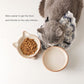 Nihow Elevated Cat/Dog Bowls Set : 5 Inch Ceramic Raised Cat Food & Water Bowl Set for Protecting Pet's Spine - Feeding & Watering Supplies for Pets - Elegant Brown (2 PC)