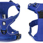 TRUE LOVE Adjustable No-Pull Dog Harness Reflective Pup Vest Harnesses Comfortable Control Brilliant Colors Truelove TLH5651(Royal Blue,XS)