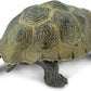 Safari Ltd. Desert Tortoise Figurine - Lifelike 3.25" Wildlife Figure - Educational Toy for Boys, Girls, and Kids Ages 3+