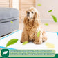 IMMCUTE Puppy Pads 22"x23" 100 Count | 6-Layer Leak-Proof & Super Absorbent Dog Training Pads | Disposable Potty Pads for Puppies, Dogs, Cats & Rabbits | Blue & White