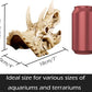 Fish Hideout Cave Dinosaur Animal Skull Reptile Ornament Halloween Décor for Terrarium Aquarium Large Decorations Betta Tarantula Snake Decor Bones