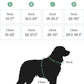 2025 New Edition, Fei & Eve MagEase Dog Harness - 3-Second Magnetic Buckles | 3-Point No-Pull Control | Heavy-Duty 900D Nylon | Dual Safety Handles | Breathable Mesh | Adjustable Fit | X-Large, Green