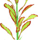 ALEGI Silk Aquarium Plants, 16 Inch Artificial Silk Plants Decorations for Fish Tank,Aquarium Décor Plastic Plants (Light Green with Red, 2 Pack)