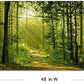 Green Morning Sunlight Forest Scenery Canvas Wall Art for Bedroom Home,Beautiful Silent Summer Woods Picture Print Artwork Painting Decor,Mordern Realism Rustic Wilderness Landscape,Inner Frame 24x48
