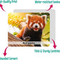 Menique Wild Animals Memory Matching Game – 80 Cards (40 Pairs) with Real Photos – Includes Educational Booklet with Animal Facts – Fun & Cognitive Game for Kids and Adults