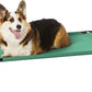 Amazon Basics Cooling Breathable Elevated Dog Bed with Metal Frame for Medium Dogs, 43 x 26 x 7.5 Inch, Green