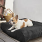 K9 Ballistics Tough Rectangle Pillow Medium Dog Bed - Removable Cover, Washable, Durable & Water Resistant Dog Bed Made for Small Dogs 24"x18" Obsidian Black