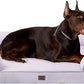 EHEYCIGA Orthopedic XL Dog Beds, Waterproof Memory Foam Dog Bed for Extra Large Dogs, Non-Slip Bottom and Egg-Crate Foam Big Pet Couch Bed with Washable Removable Cover,Lilac